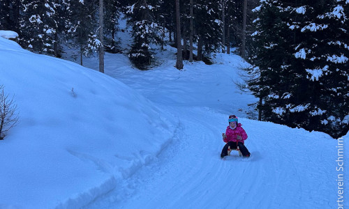 Rodeltraining-02.2026-005