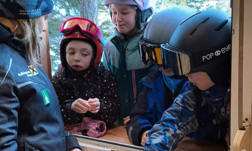 Rodeltraining-02.2026-035