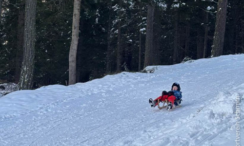 Rodeltraining-02.2026-042