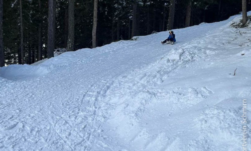 Rodeltraining-02.2026-048