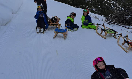 Rodeltraining-02.2026-052