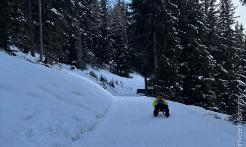 Rodeltraining-02.2026-061